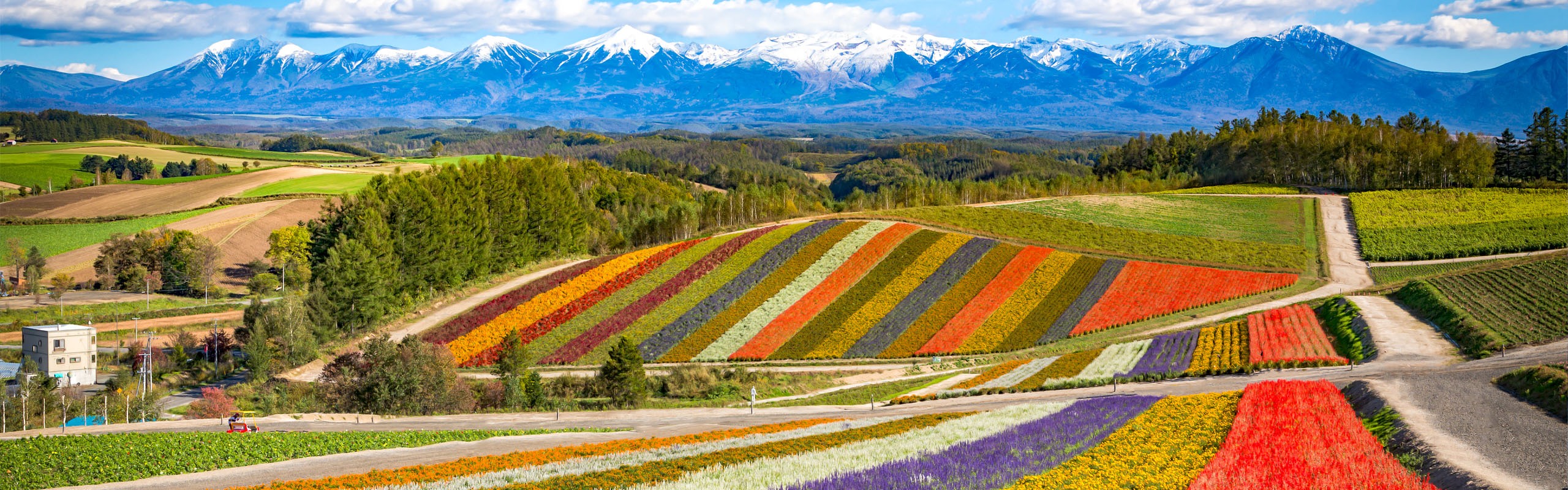 8-Day Hokkaido Summer Vacation — Nature & Traditions
