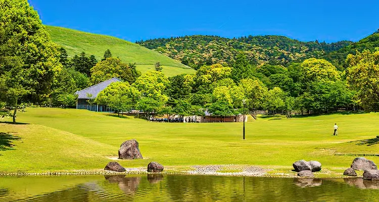 nara park