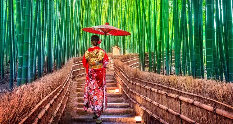 bamboo grove in Arashiyama