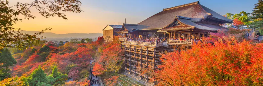Maple trees forming a sea of red along the hillside of the kiyomizu temple